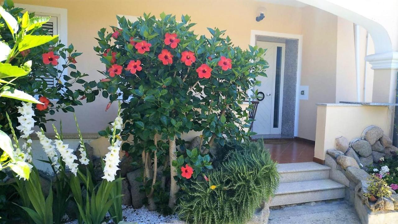 Dolce Hibiscus Apartment Olbia Exterior foto